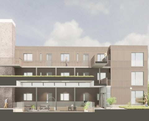 project piushove (333)